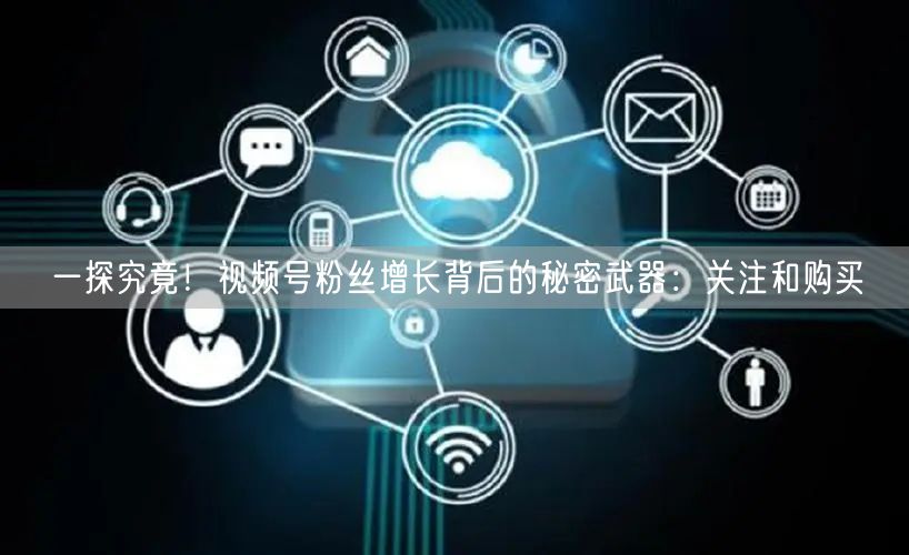 一探究竟!视频号粉丝增长背后的秘密武器:关注和购买