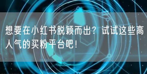 想要在小红书脱颖而出？试试这些高人气的买粉平台吧！