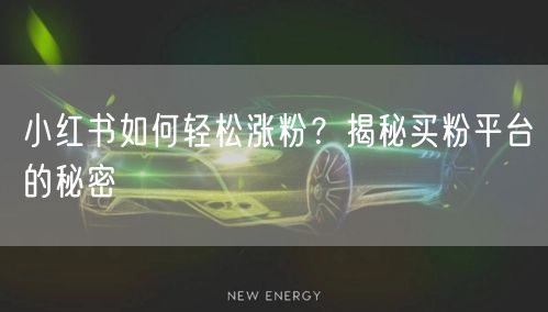 小红书如何轻松涨粉？揭秘买粉平台的秘密