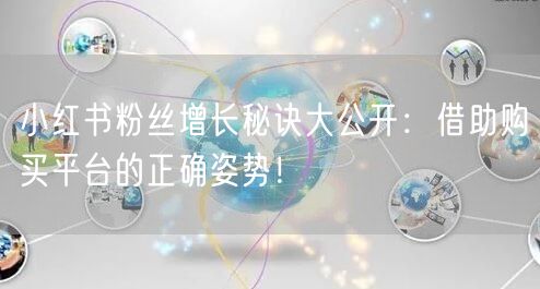 小红书粉丝增长秘诀大公开:借助购买平台的正确姿势!