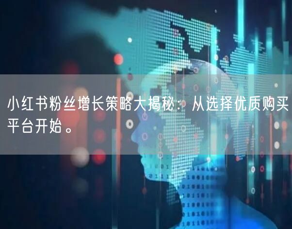 小红书粉丝增长策略大揭秘:从选择优质购买平台开始。